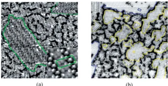 Fig. 3 (a) STM image (50 nm × 50 nm) of an area showing an ordered structure within the glass