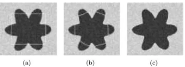 Figure 6. Figure (a) presents the initial active contour. Figure (b) is the final contour using the classic image gradient on Figure 5(b) and Figure (c) is the final contour using the GVF method on Figure 5(c).
