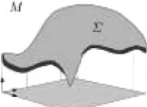 Figure 3. The manifold  embedded in M, reproduced from (Sochen et al., 1998).