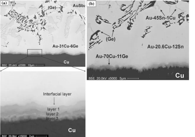 Fig. 5. Interfacial structure: (a) AuGeSb on Cu, and (b) AuGeSn on Cu.