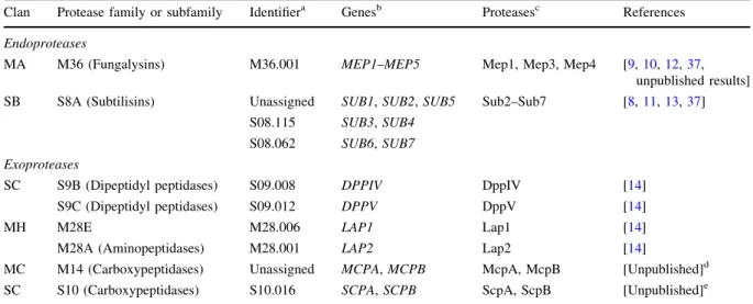 Table 1 Secreted endo- and exoproteases from T. rubrum and other dermatophytes