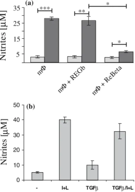 Figure 9. NO production by co-cultures of macrophages with either REGb or ReBeta cells