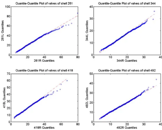 graphic constraints determine the self-organization of shell