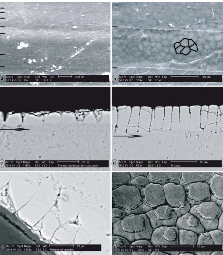 Fig. 2 Scanning electron microscope (SEM) images in conventional (a, b, f) and backscattered electron (BSE) mode (c – e)