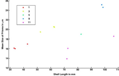 Table 2 White noise test