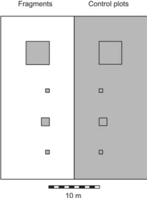Fig. 1 Diagram of one block of the fragmentation experiment. A block contained two small (0.5·0.5 m), one medium (1.5·1.5 m) and one large (4.5·4.5 m) fragment and corresponding control plots