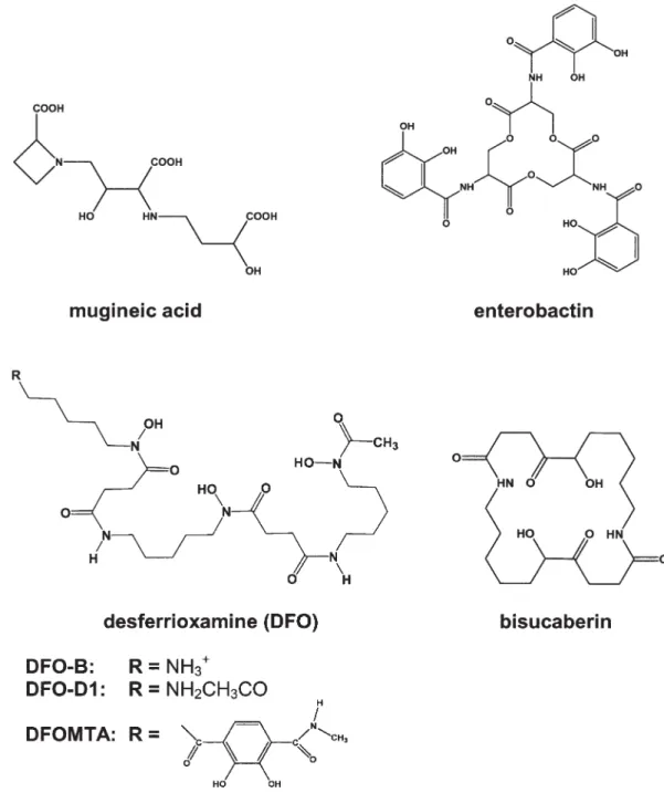 Figure 1. Molecular structures of plant and bacterial siderophores and of a synthetic derivative of a bacterial siderophore