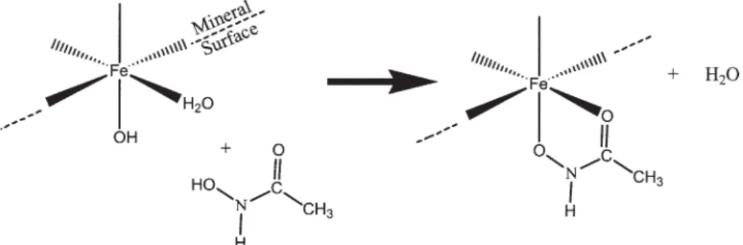 Figure 6. Adsorption of acetohydroxamic acid by a ligand exchange reaction (after Holmen and Casey, 1996).