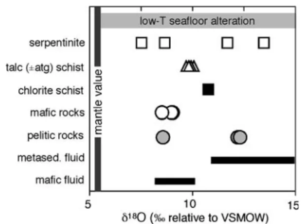 Fig. 8 a Coexisiting d 18 O of magnetite versus d 18 O of talc from talc schist samples from the Poue´bo Eclogite Me´lange (dark grey dots).