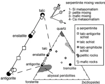 Fig. 5 Zr versus Cr, and Zr versus Yb plots of serpentinite, talc (± amphibole) and chlorite schists and mafic rocks from the Poue´bo Eclogite Me´lange.