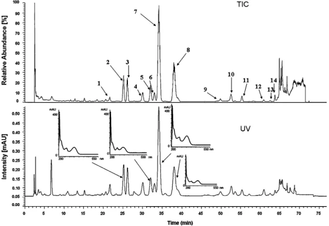 Fig. 1 HPLC/UV/APCI-MS of a sample of Greina wt. TIC: Total ion current; UV—ultraviolet absorption spectrum