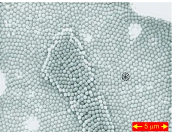 Figure 1 shows a scanning electron micrograph of our PNIPAM particles on a solid substrate