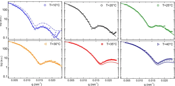 Fig. 3. Temperature-dependent form factor P ( q ) measured under dilute conditions ( Φ ≈ 4 × 10 −5 )