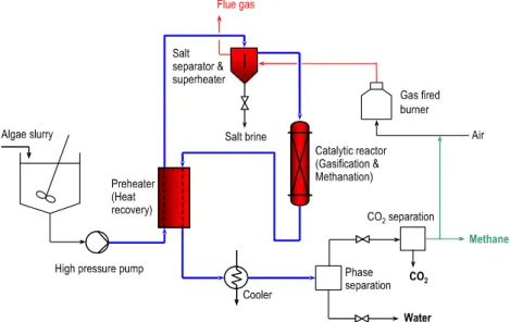 Fig. 1 Sketch of the catalytic hydrothermal gasification  pro-cess developed at PSI