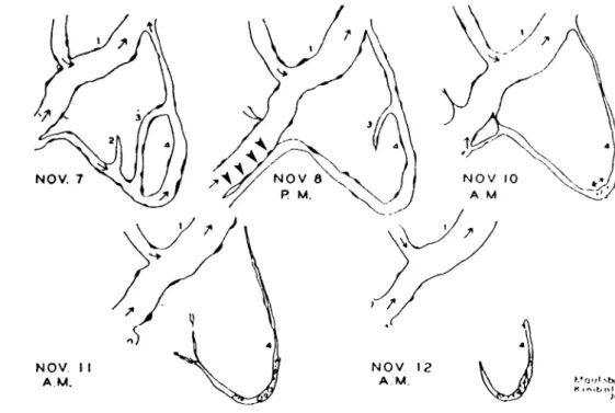 Figure not drawn to scale