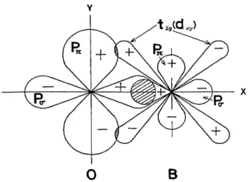 Figure 6 shows schematically the orbitals of an oxygen ion and an adjacent B-site cation which are thought to be responsible for the electron/hole exchange