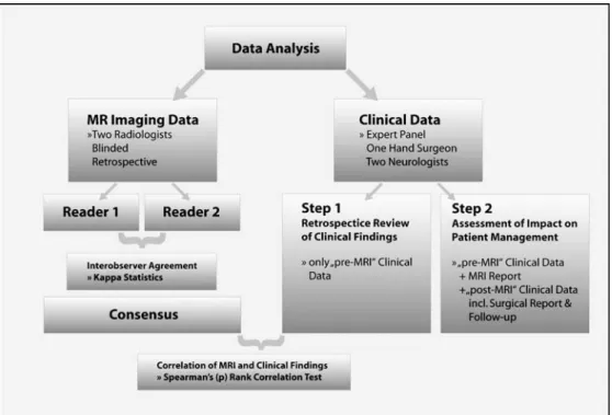 Fig. 1 Diagram illustrates the different steps of data analysis.