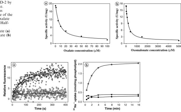 Fig. 4 Inhibition of OAD-2 by oxalate and oxomalonate.