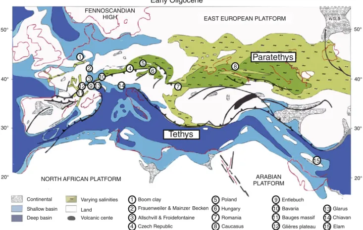 Fig. 1 Palaeogeographical map of the Tethys and Paratethys in the Early Oligocene with locations of the main fish assemblages.