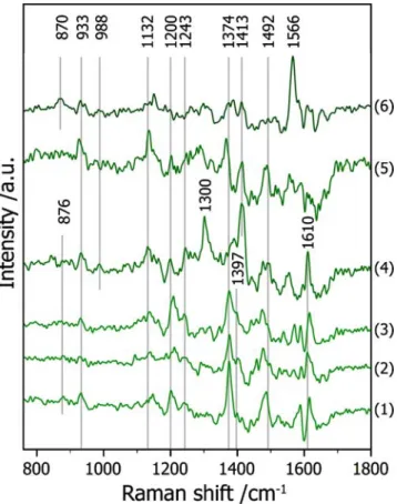 Figure 4 shows TERS spectra (after background subtrac- subtrac-tion) that were collected with three different tips on different spots of a calcium alginate fiber sample: Spectra 1–3 are repeat measurements on the same spot of the sample, spectra