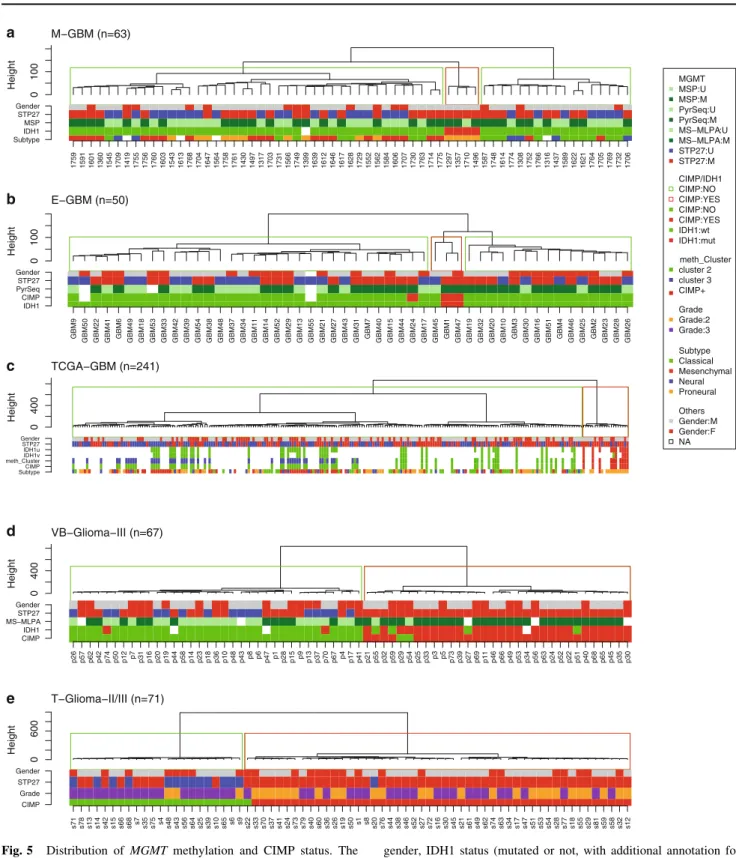 Fig. 5 Distribution of MGMT methylation and CIMP status. The dendrogram for each dataset is provided