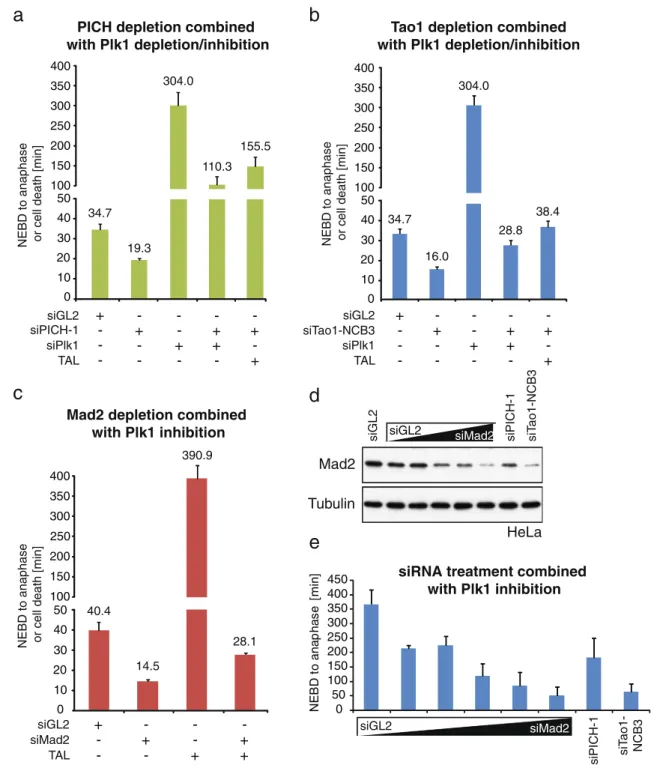 Fig. 10 Codepletion of PICH and Plk1 restores SAC activity. a – c HeLa cells stably expressing H2B-GFP were subjected to single and double depletion (PICH, Tao1, Mad2, Plk1) or inhibition (Plk1) experiments, as described in each panel, and analyzed by time