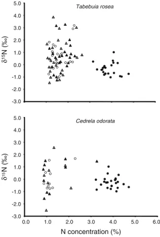 Fig. 2 Relationship between N concentration (%) and d 15 N values in mature leaves of the timber species Tabebuia rosea and Cedrela odorata