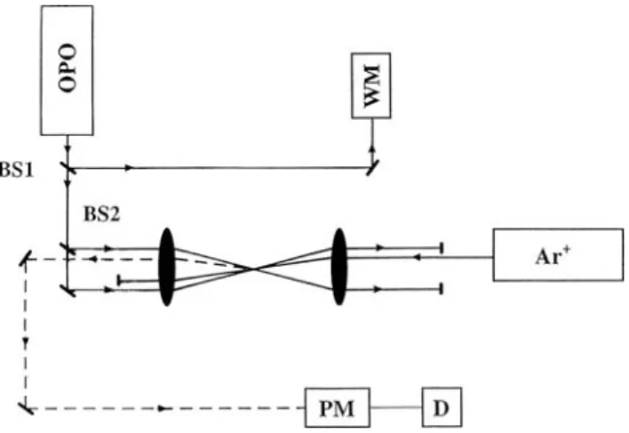 Fig. 1 Experimental set-up. Ar + : Argon laser; BS1: Beamsplitter with R = 10%; BS2: Beamsplitter with R = 50%; WM: wavemeter;