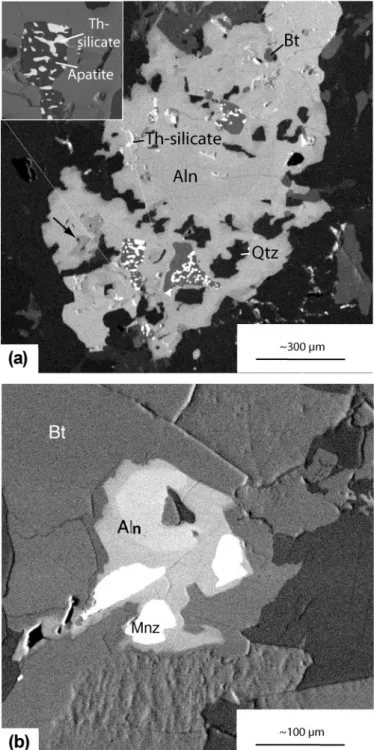 Fig. 2.  (a) bsE photograph of allanite (Aln) in migmatite protolith of bergell  area showing small compositional changes (black arrow)