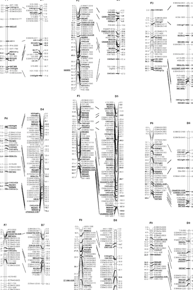 Fig. 1 Genetic map of Fiesta (F) and Discovery (D). Numbering of the linkage groups is according to Maliepaard et al