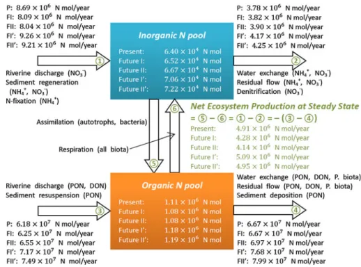 Fig. 4 N budgets and trophic states of the bay ecosystem under illustrative present-day and future climate.