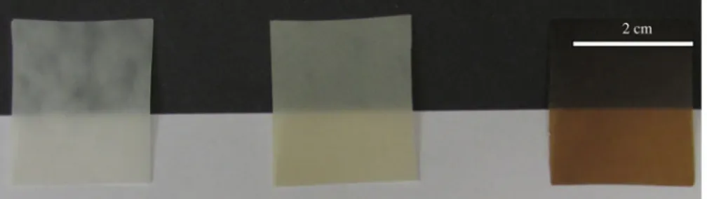 Fig. 11 Photographs of composite films containing 10% w/w montmorillonite and (from left to right) non-modified NFC, TMA-NFC prepared at 97.5 and at 120 °C, respectively