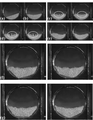 Fig. 2. Phase map of patterns formed in a quasi-2D, cylindrical vibrated bed (particle diameter 0.5–0.75 mm; ﬁll level h = 1/4).