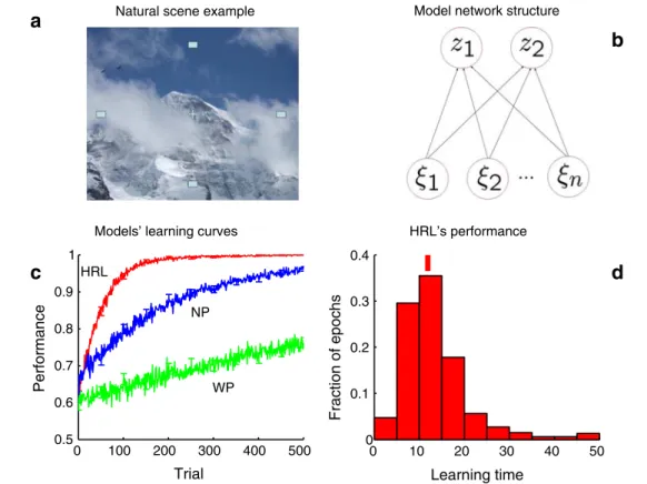 Fig. 1 Our model’s performance is in good correspondence to the monkey data by Chen and Wise (1995a) and Wirth et al