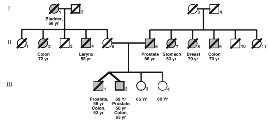 Fig. 1 Pedigree of the twins’