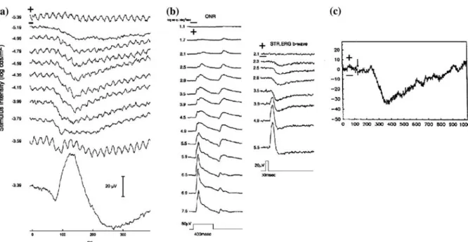 Figure 2. Typical traces of scotopic threshold responses. (a) human STR intensity series recorded with a DTL ﬁbre electrode from a 30 yr old volunteer, average of 4, with the STR appearing at an intensity of ) 5.19 log cd.s/m 2 from [6]
