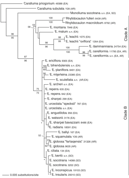 Fig. 1. ML tree of Echidnopsis based on nrITS sequences. ML- and MP-Bootstrap values (&gt;50%) are above and below branches, respectively