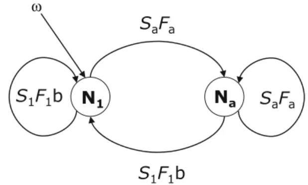 Fig. 1 Life cycle graph of a geographically open population of a short-lived passerine