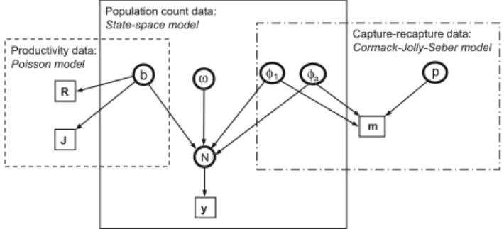 Fig. 2 Directed acyclic graph of the presented integrated population, showing that some demographic parameters are common to different sources of information