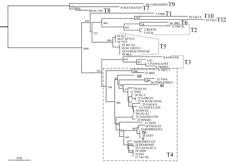 Fig. 3 Neighbor-joining distance tree based on partial 18S rDNA sequences aligning to reference bp 1,271–1,377 within amplimer ASA.S1