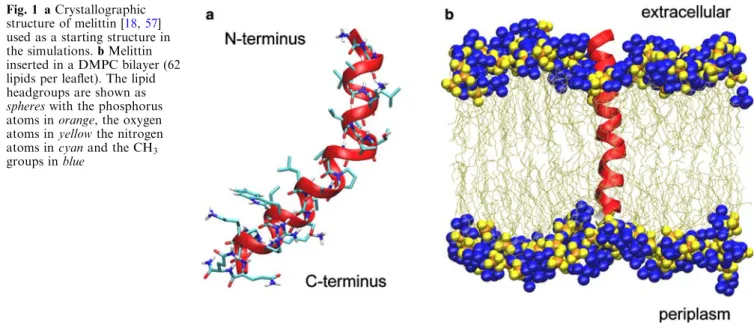 Fig. 1 a Crystallographic structure of melittin [18, 57]