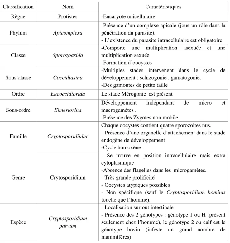 Tableau 01 : La classification taxonomique (Barta ,2006). 