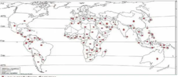 Figure n°1 : Les Principaux pays producteurs d’agrumes dans le monde (Benaissat, 2015)