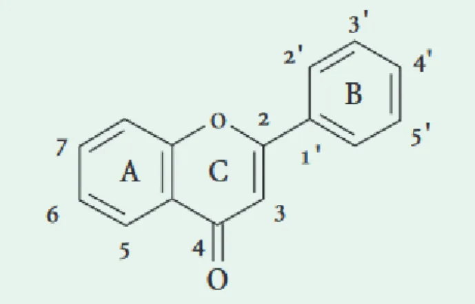 Figure 3:Structures de l’enchaînement benzo-γ-pyrone(Di Carlo et al., 1999).
