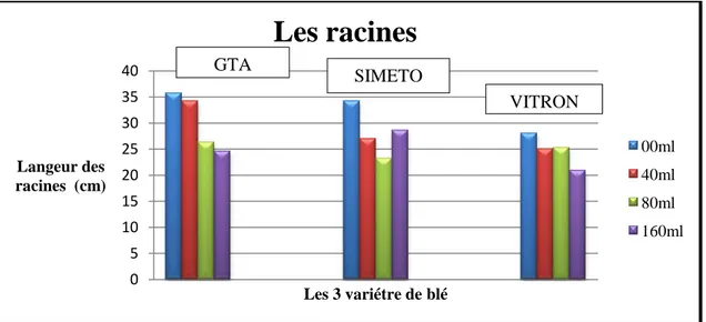 Fig n°11 : La  longueur des racines chez les 3 variétés étudiées en fonction de l’intensité du  stress hydrique