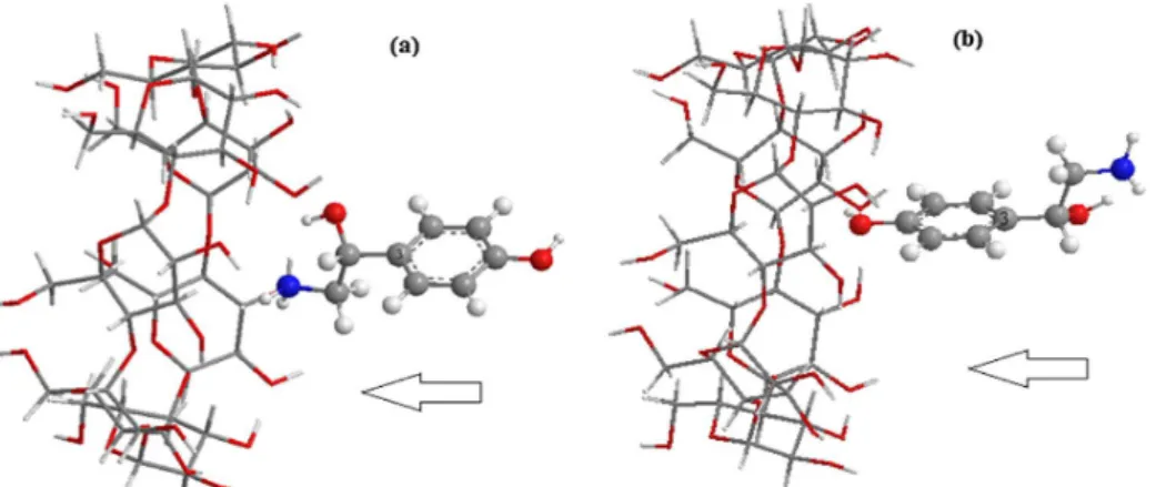Figure III.2: Processus d’inclusion de l’OA dans la β-CD : a) orientation 1, b)  orientation 2