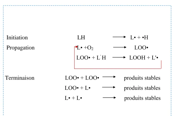 Figure 02 : l’auto-oxydation des acides gras insaturés (Labuza et Dugan, 1971) 