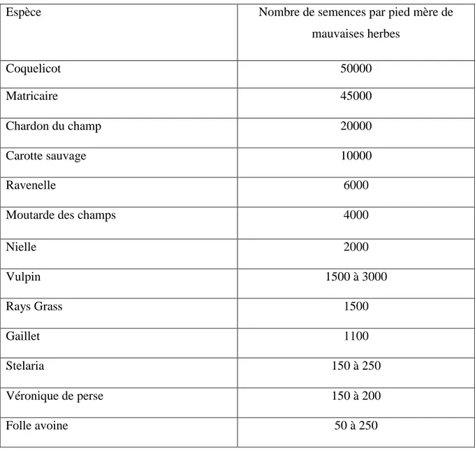 Tableau 03 : Nombre de semences par pied mère pour quelques espèces des mauvaises herbes  (Ellird, 1979 cités in Mellakhessou, 2007)