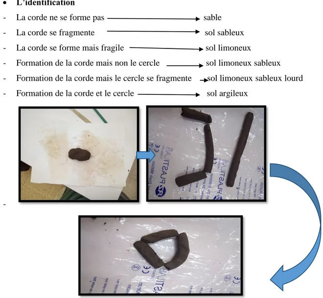 Figure 11 : Détermination de texture de sol 