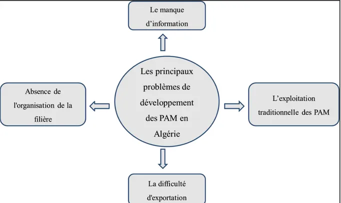 Figure 01 : Principaux problèmes de développement du secteur des PAM en Algérie  (Ouled mohamed et Si Bachir, 2017) 